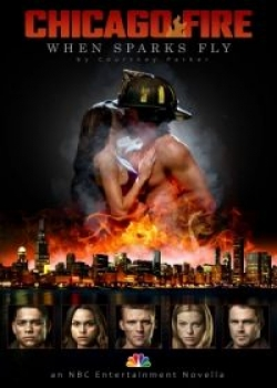 Пожарные Чикаго / Чикаго в огне (3 сезон)