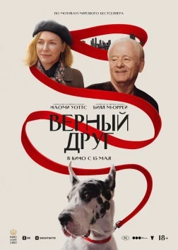 Верный друг (2024) Верный друг (2024)