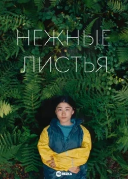 Нежные листья (2025) Нежные листья (2025)